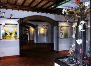 museo-del-fiore