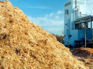 Un impianto a biomasse