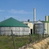 biogas-canino