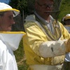 apicoltura (1)