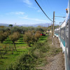 ferrovia roma viterbo 10