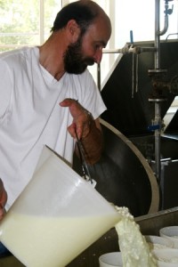 Tonino Brizi all'opera con latte vero e genuino