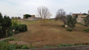 Campo Cialdi
