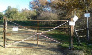 il cancello del bosco univ agraria con sigilli (FILEminimizer)