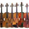 violini