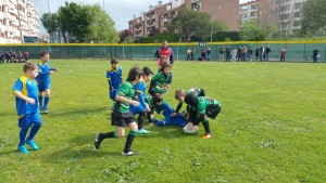 rugby 5