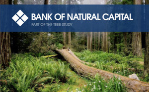 bank-of-natural-capital