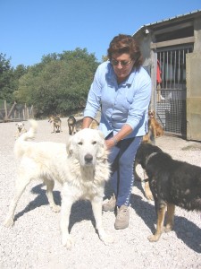 Elvia Viglino con i suoi cani