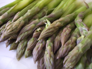 canino asparagi