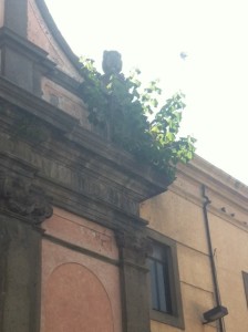 La pianta sulla facciata dell'ex tribunale di piazza Fontana Grande