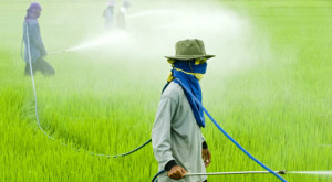 Pesticidi: ciò che semini poi raccogli
