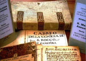 cedido