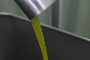 Aifo chiede la massima tutela per l'olio prodotto in Italia