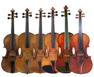 violini