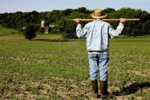TerreLab, uno nuovo stumento per l'agricoltura messo a disposizione dalla Banca Popolare del Lazio