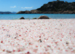 La splendida sabbia rosa della spiaggia di Budelli