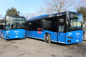 2016-nuovi-bus-cotral-11