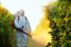L'uso di prodotti chimici in agricoltura